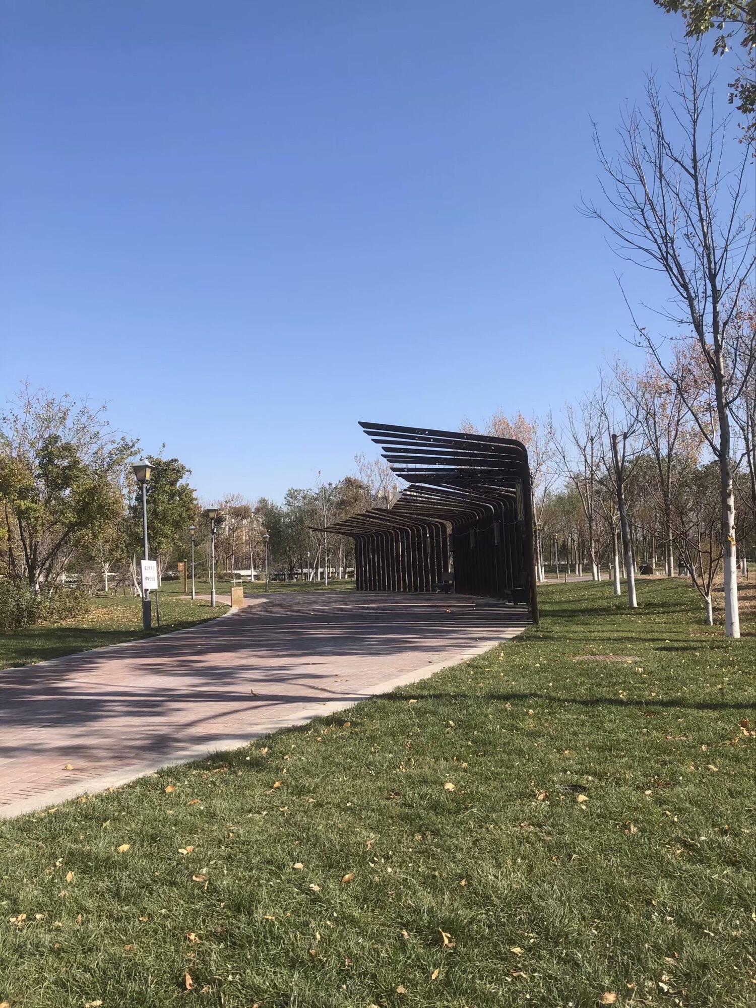 梧桐公园旅行图片 2