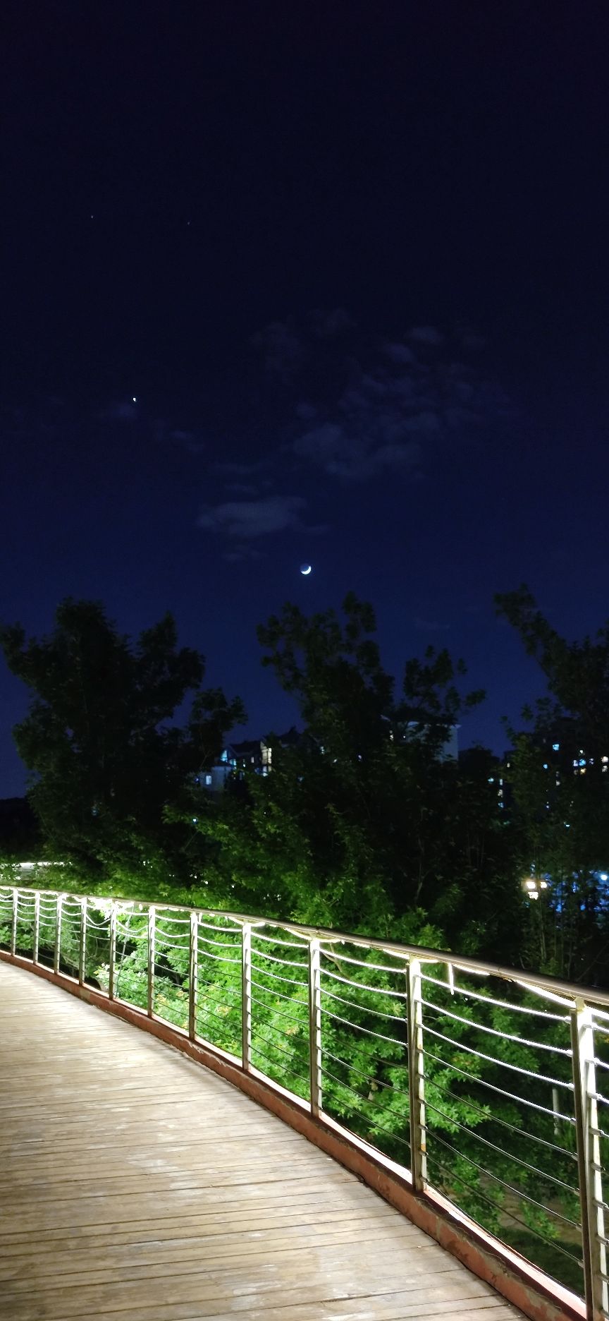 梧桐公园旅行图片 1