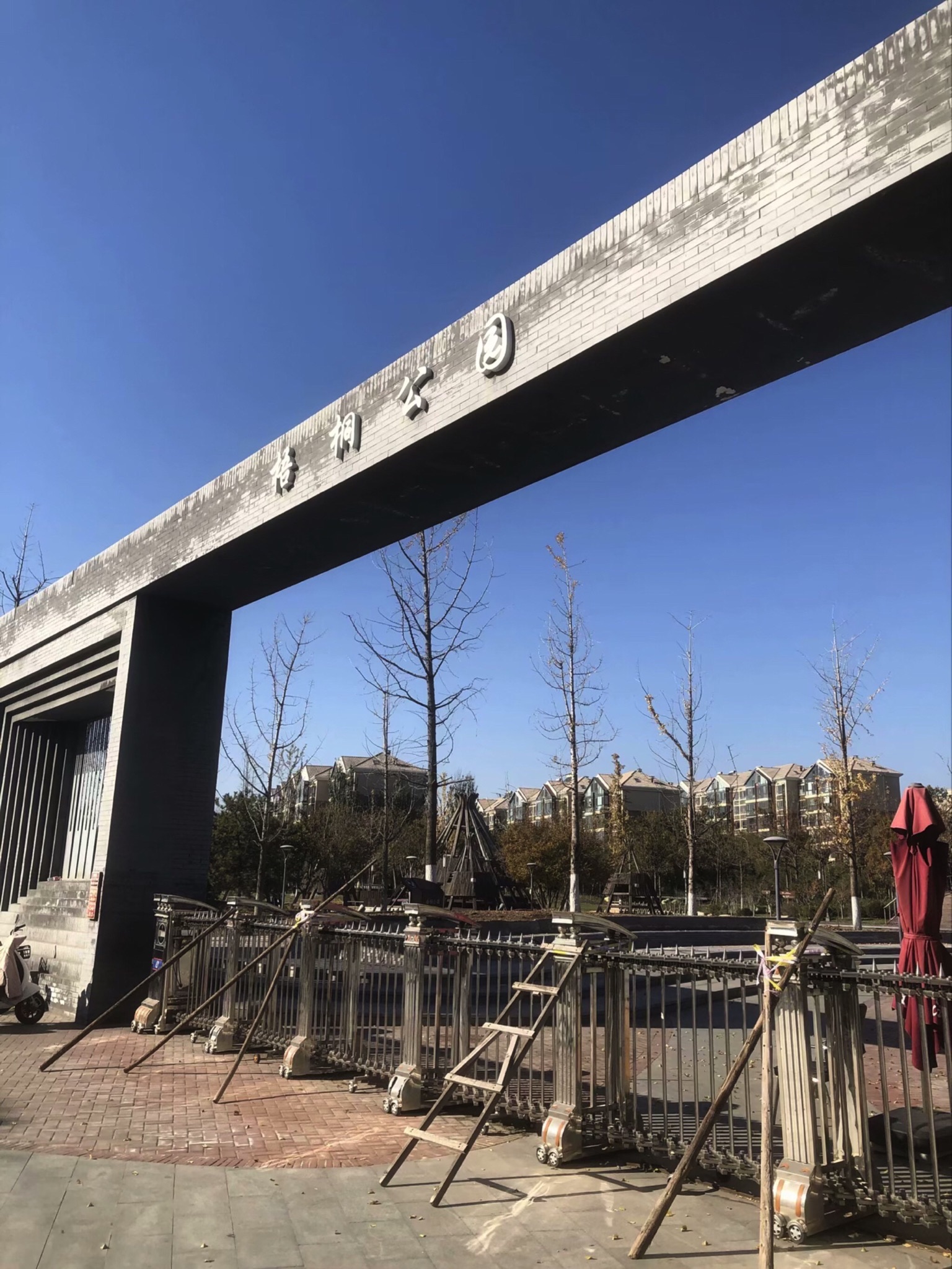 梧桐公园旅行图片 1