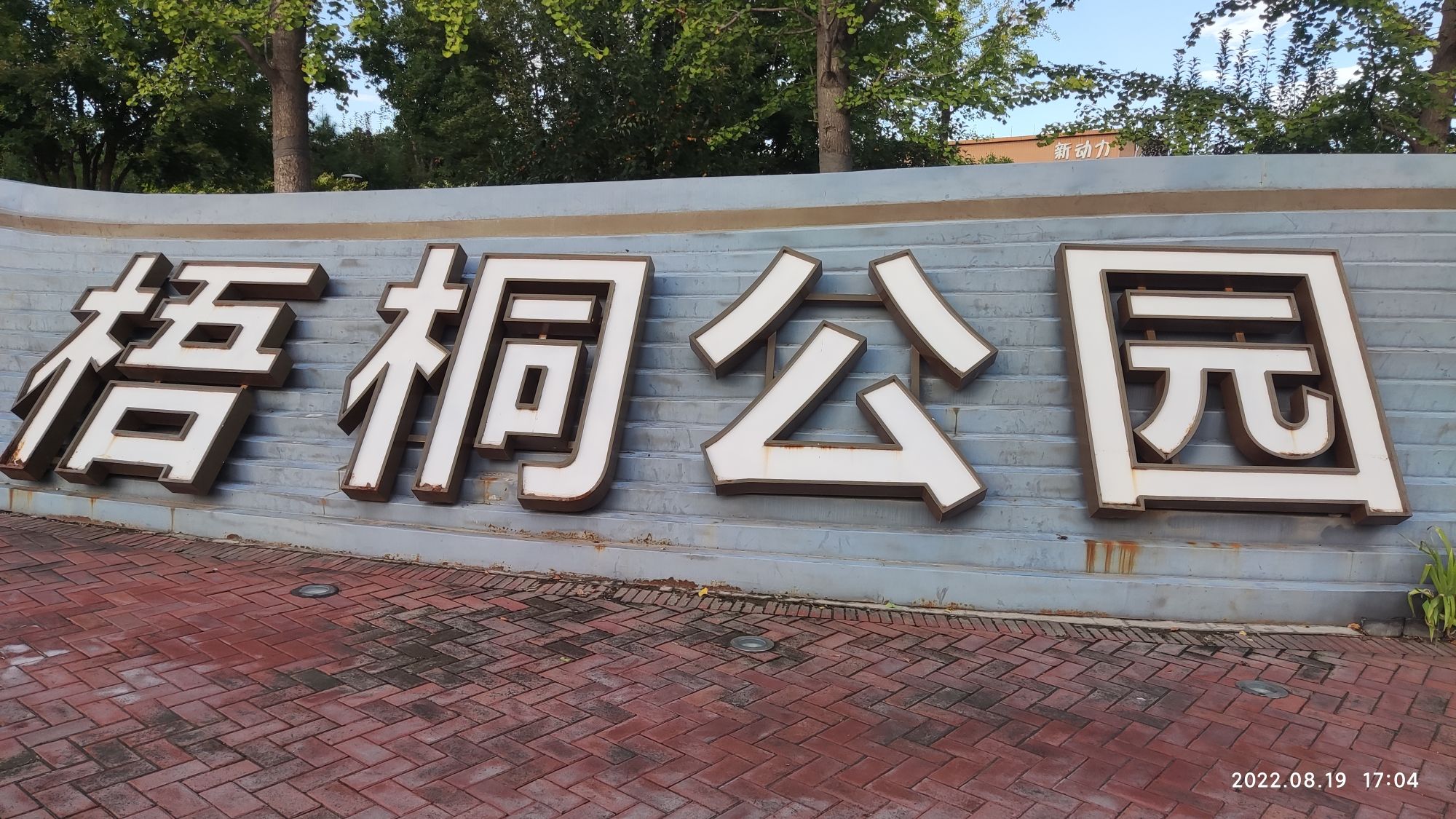 梧桐公园旅行图片 1