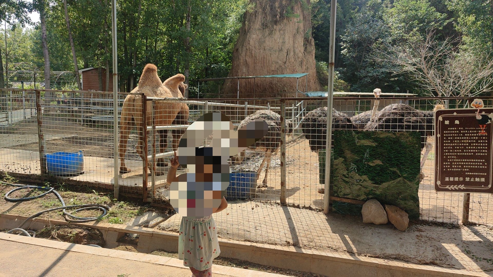 王府南阳河亲子游乐园旅行图片 3