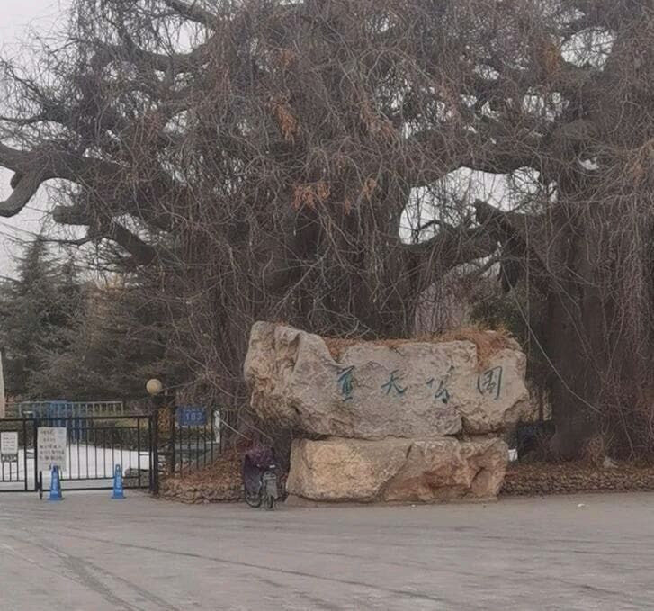 蓝天公园