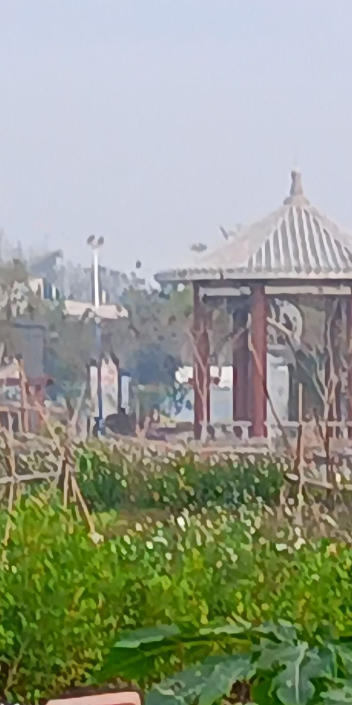 社光文化公园旅行图片 2
