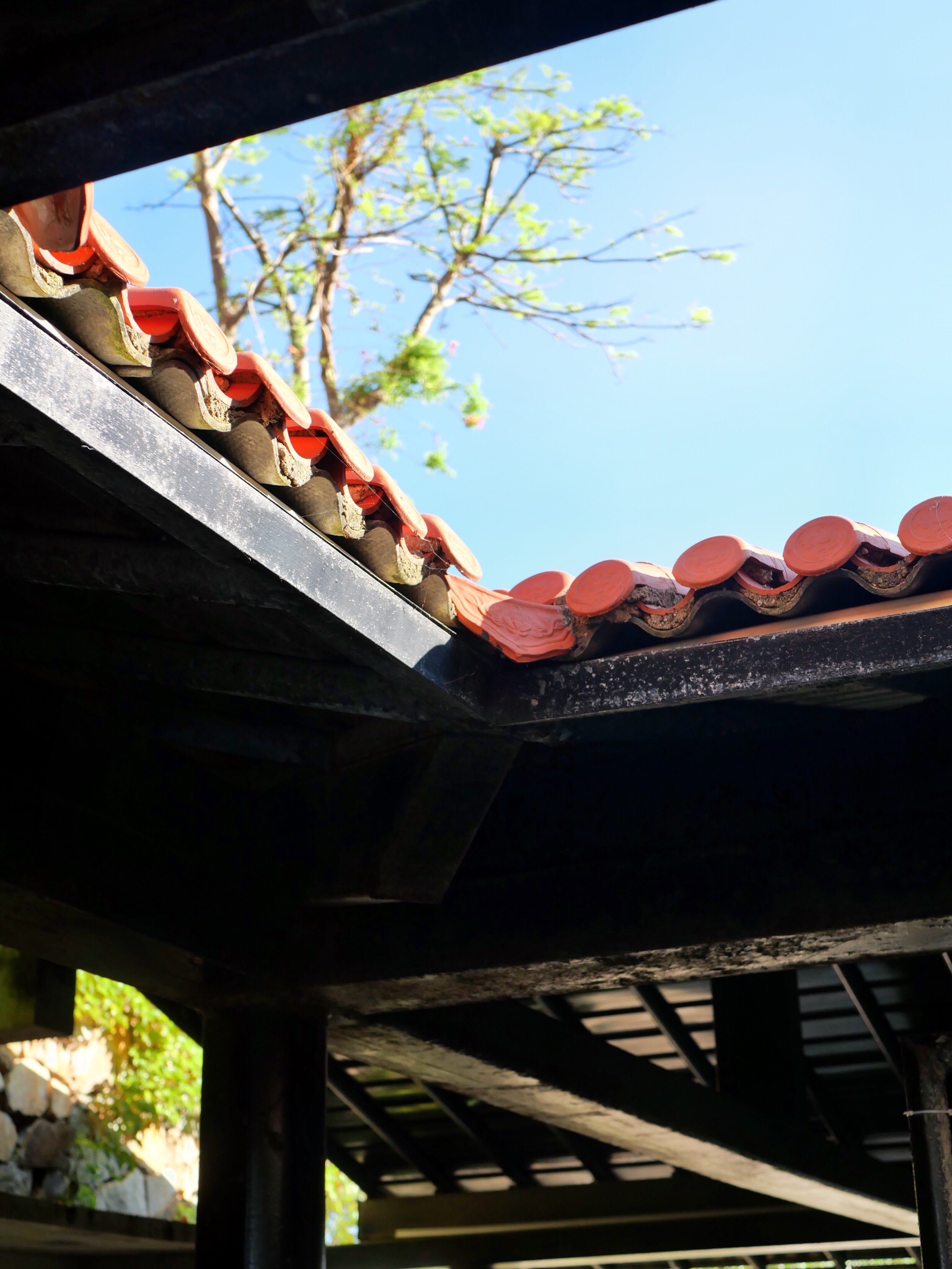 小岞美术馆旅游景区旅行图片 2