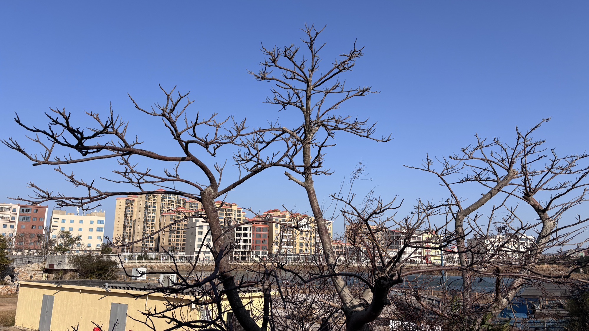 小岞美术馆旅游景区旅行图片 2