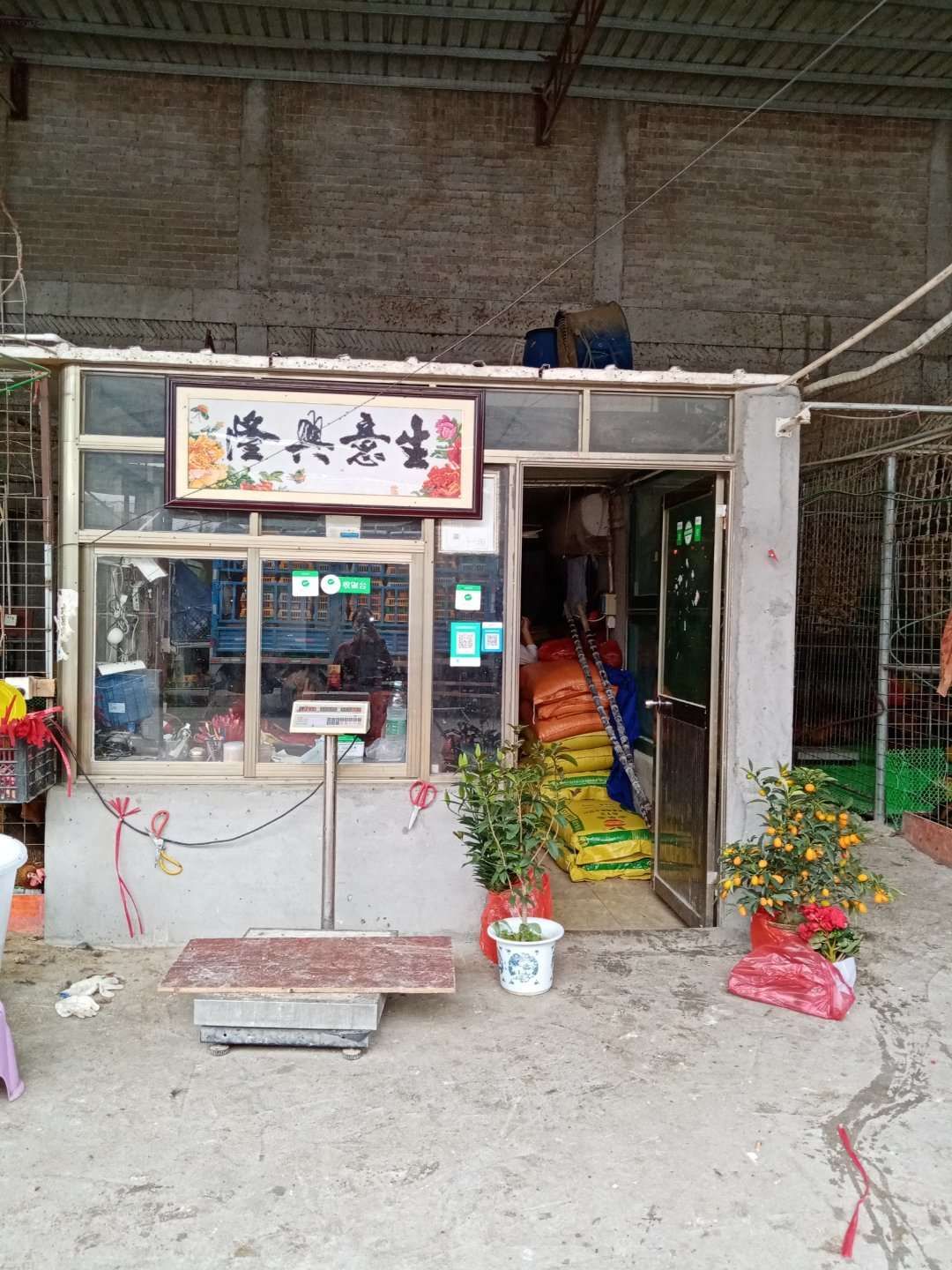 成成清远高田山林鸡批发市场