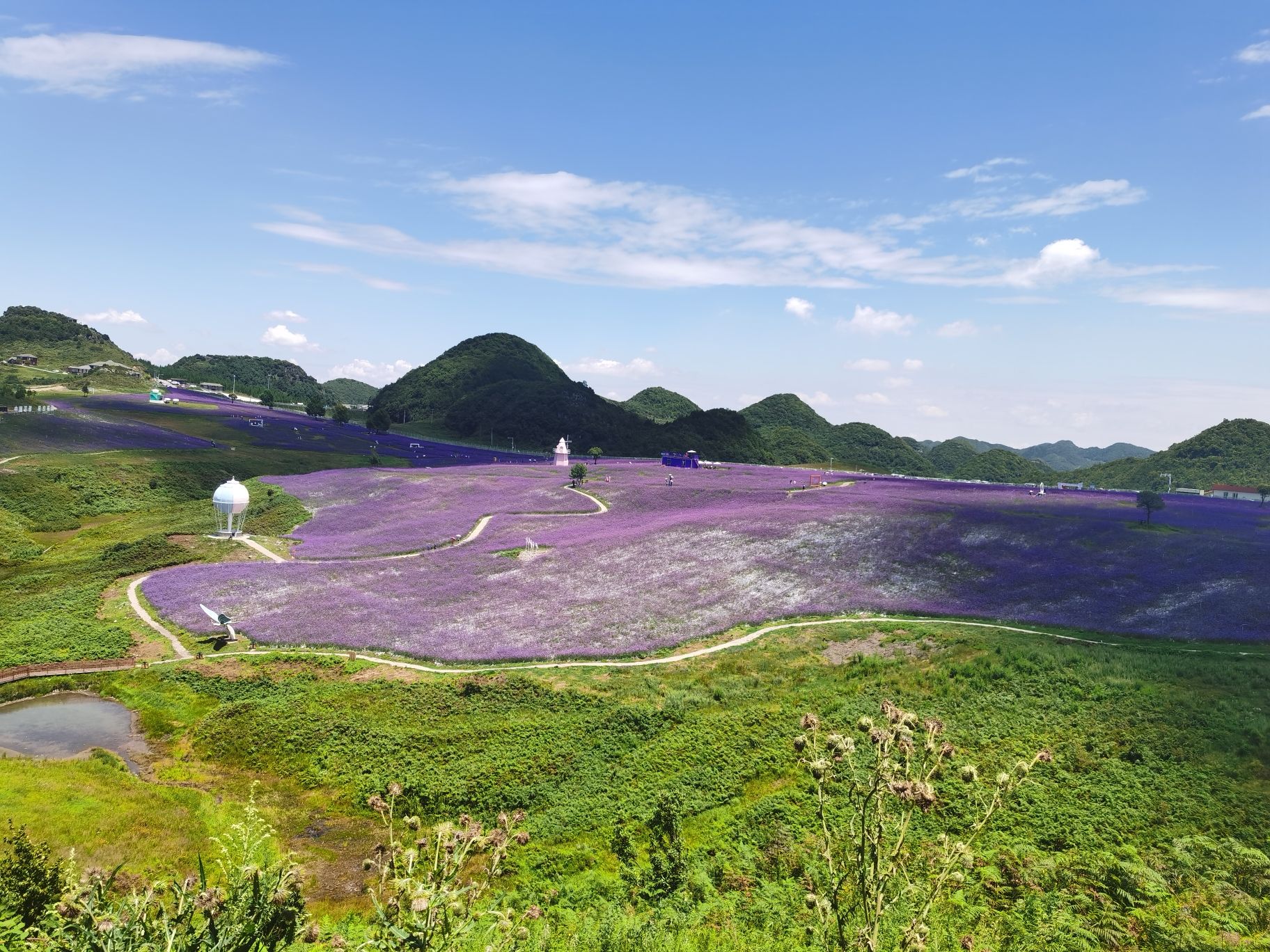 野鸡坪度假区