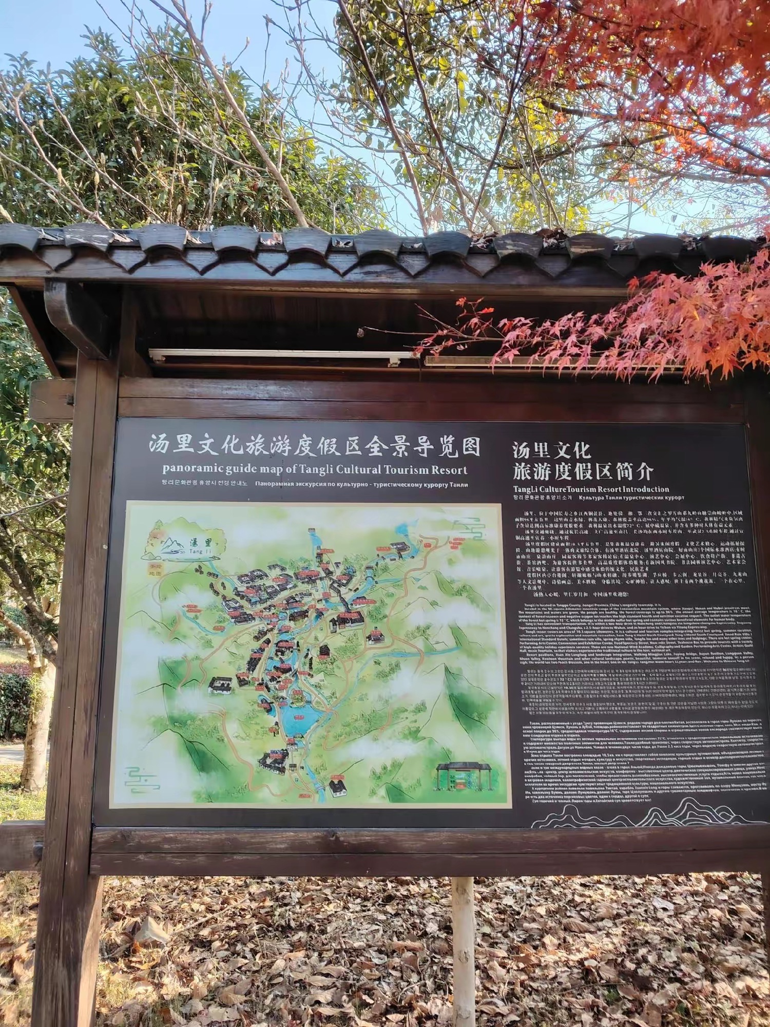汤里文化旅游度假区旅行图片 3