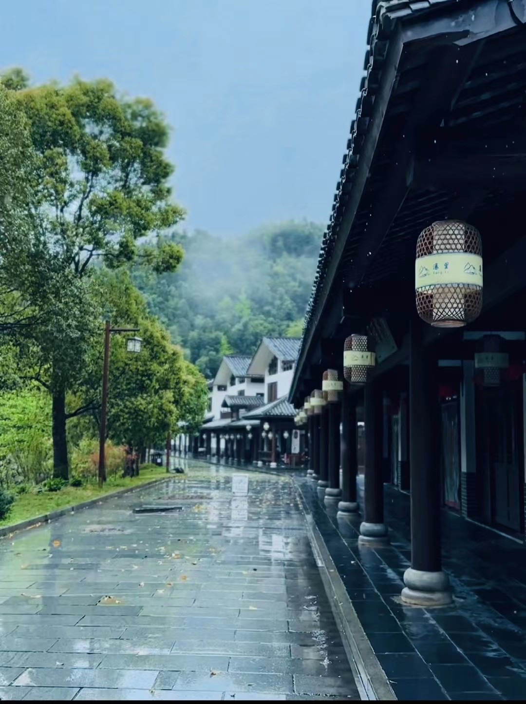 汤里文化旅游度假区旅行图片 3