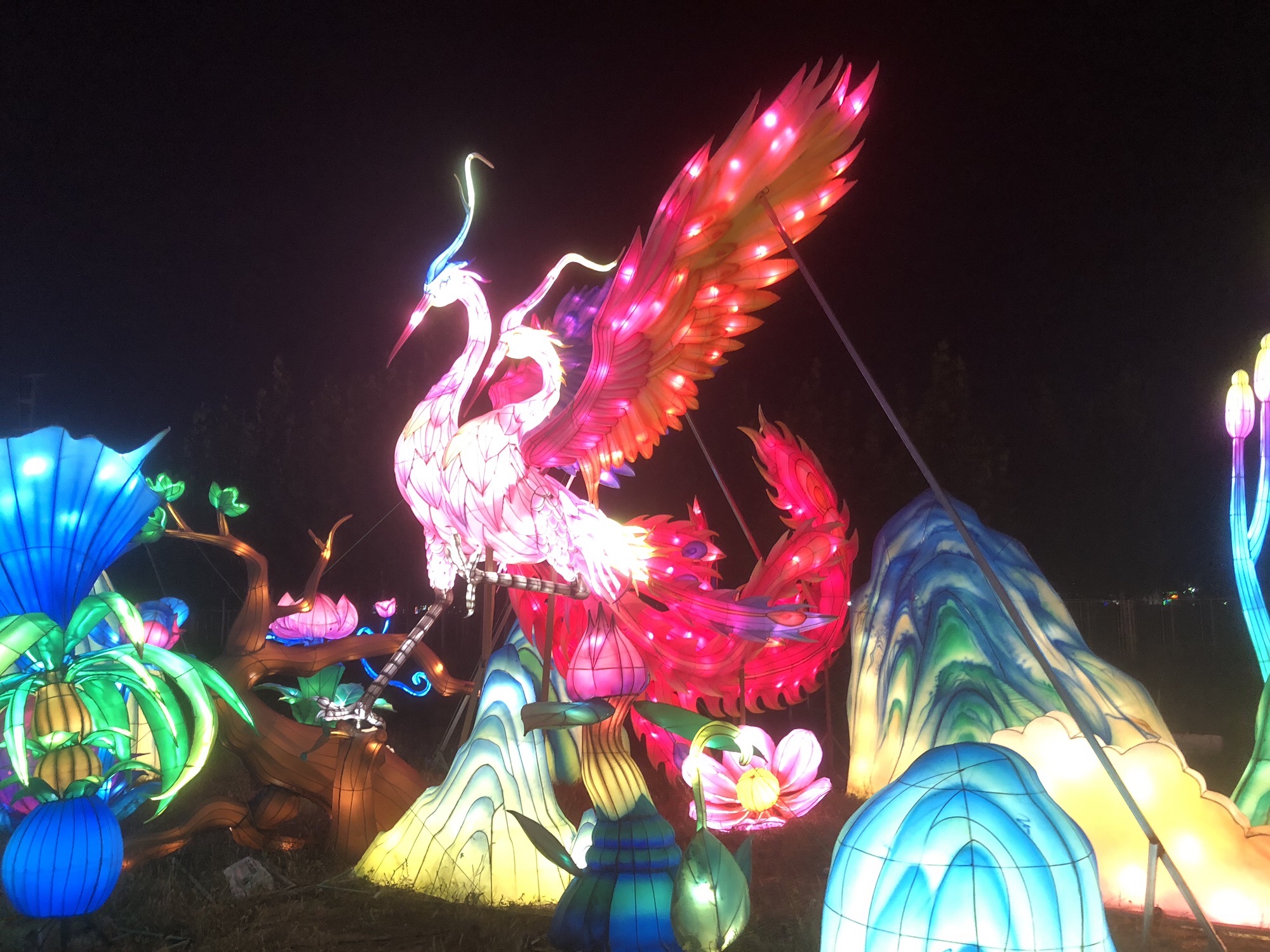 御龙河公园旅行图片 2