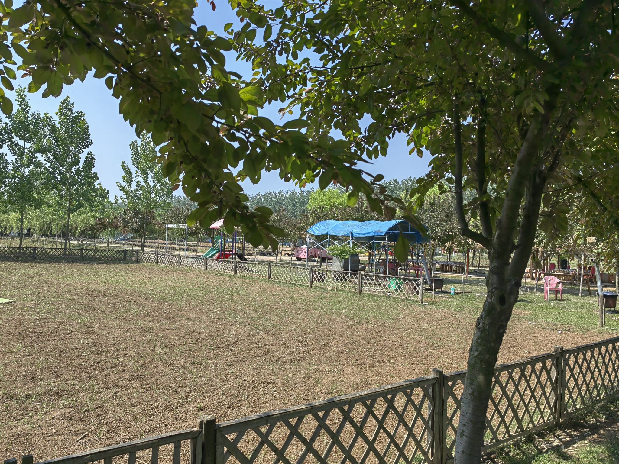 邳州解忧故里薰衣草庄园旅行图片 3