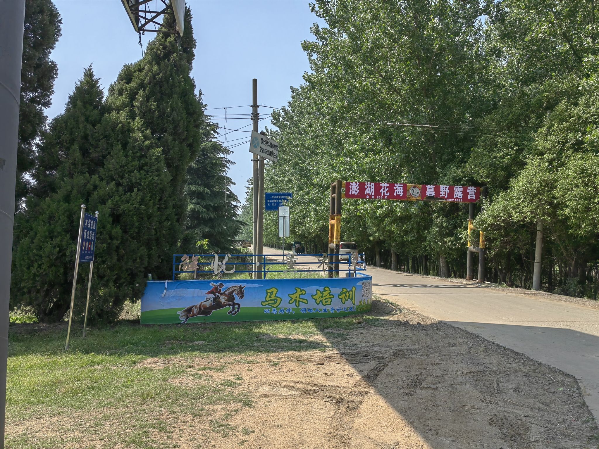 邳州解忧故里薰衣草庄园旅行图片 2
