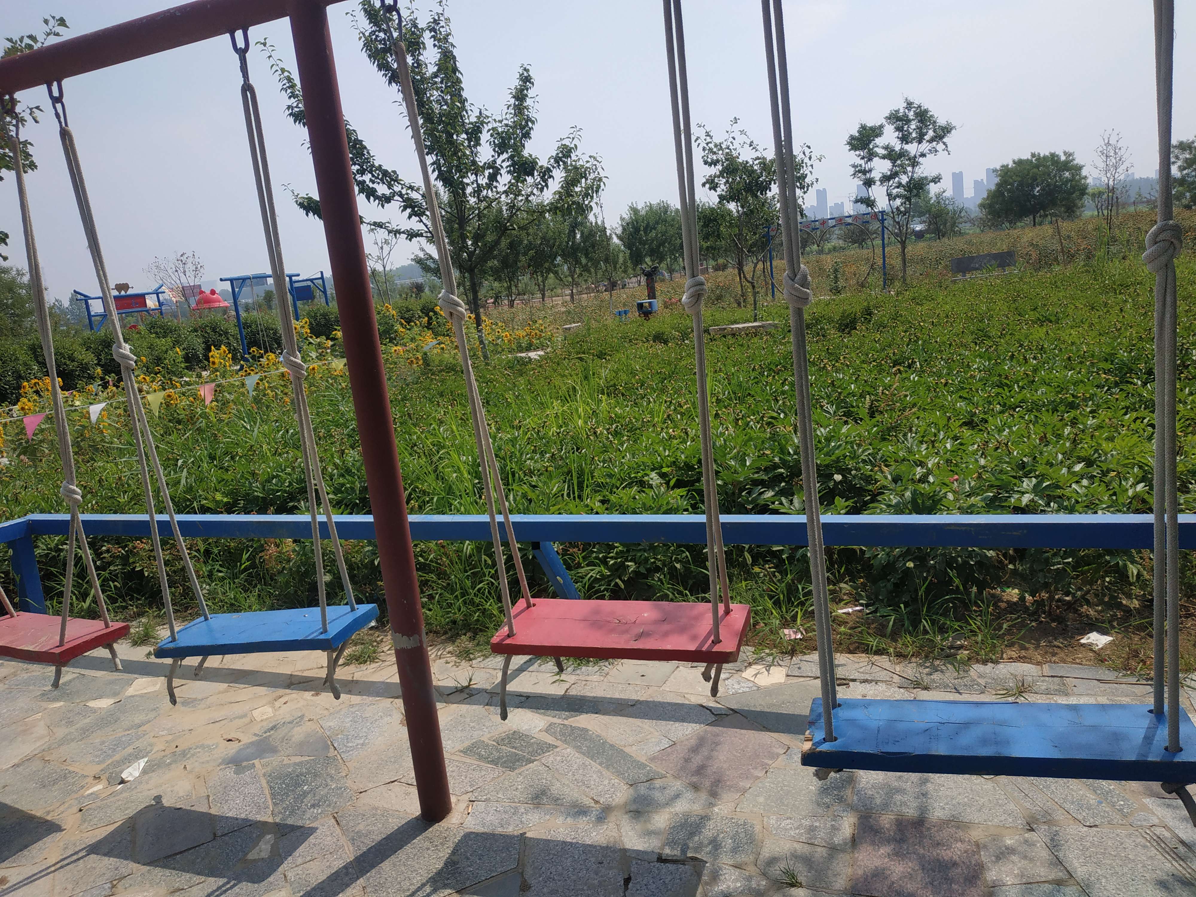 邳州解忧故里薰衣草庄园旅行图片 2