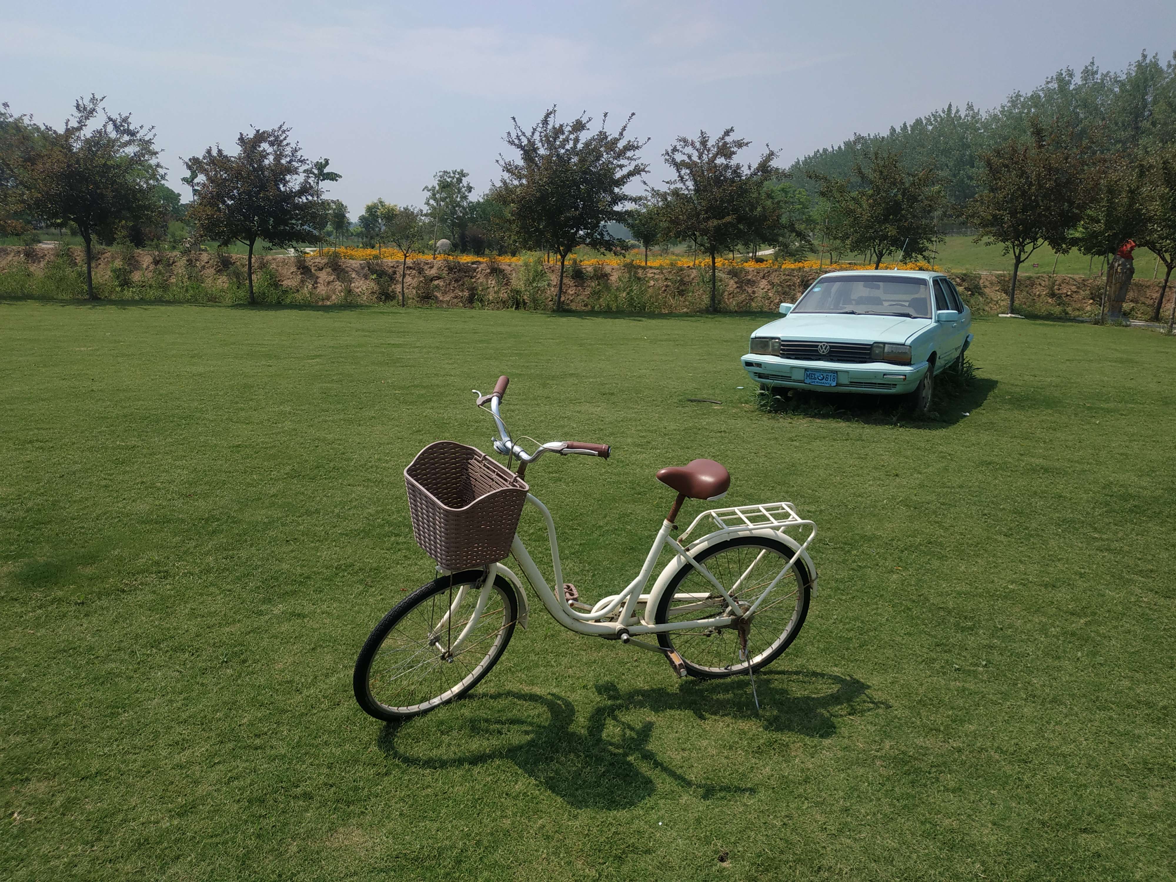 邳州解忧故里薰衣草庄园旅行图片 1