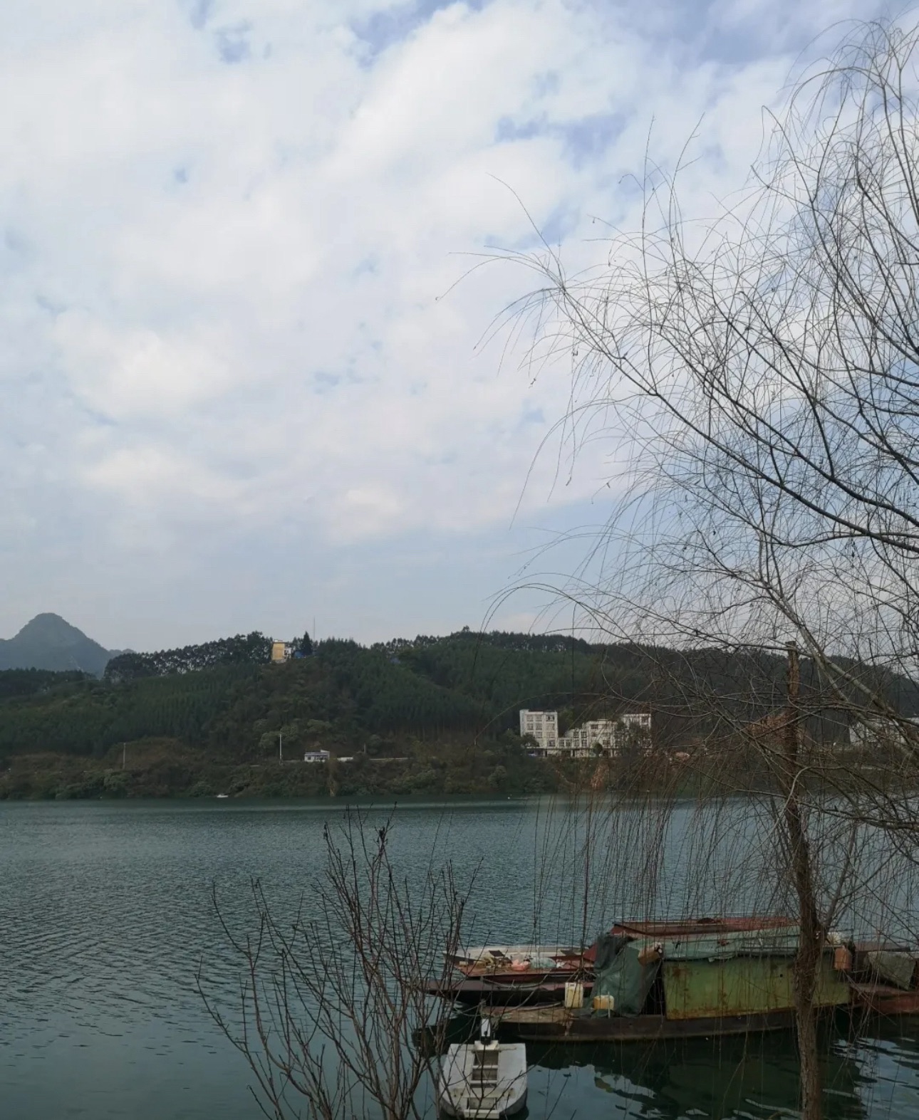 大化县生态水岸公园旅行图片 1