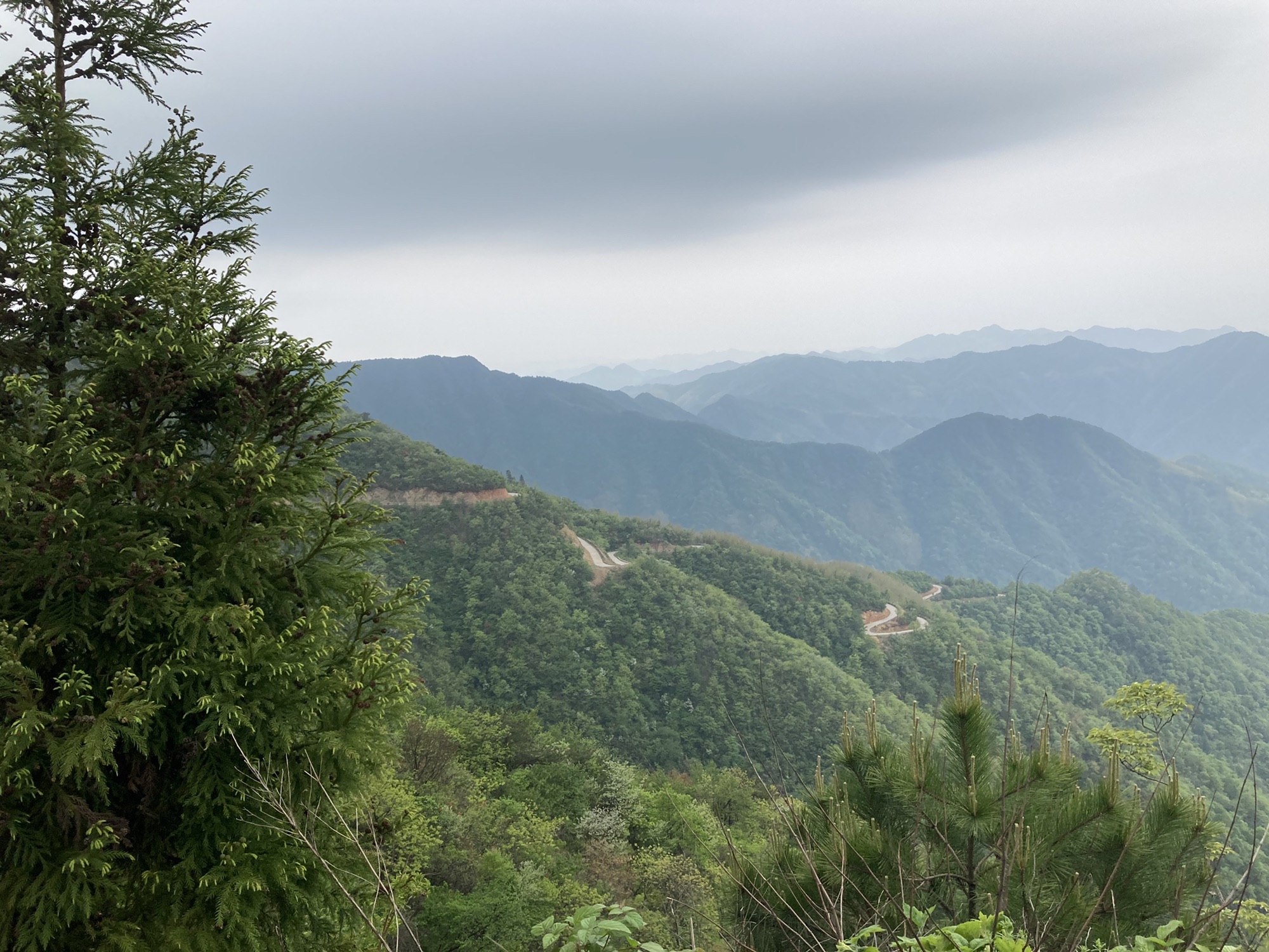 太平山天乙佑圣宫旅行图片 2