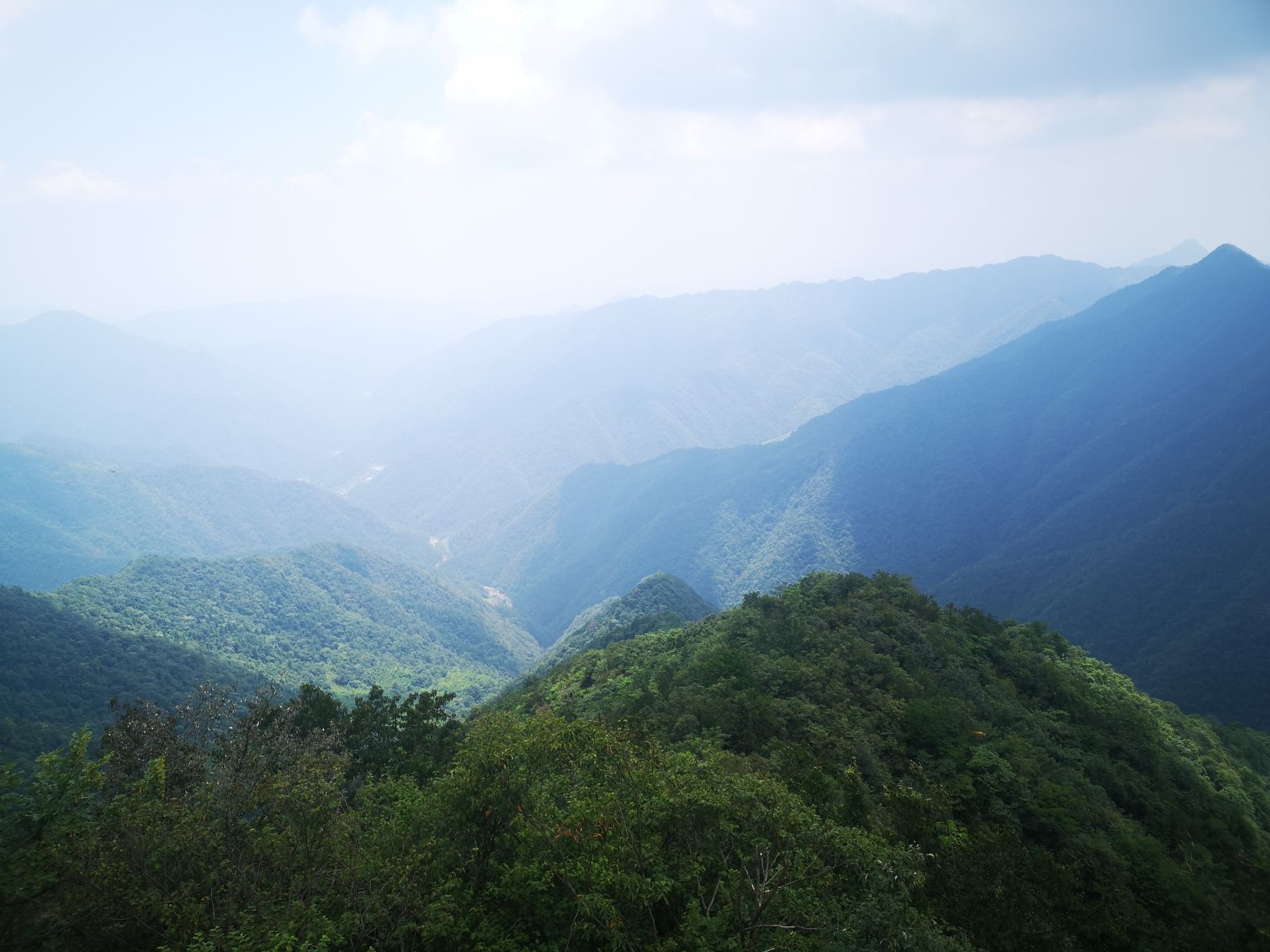 太平山天乙佑圣宫旅行图片 3