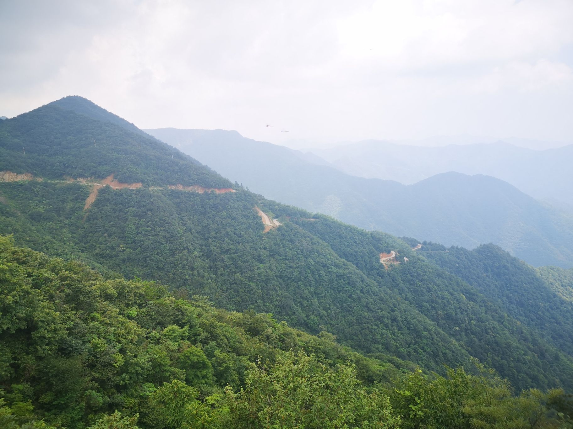 太平山天乙佑圣宫旅行图片 1