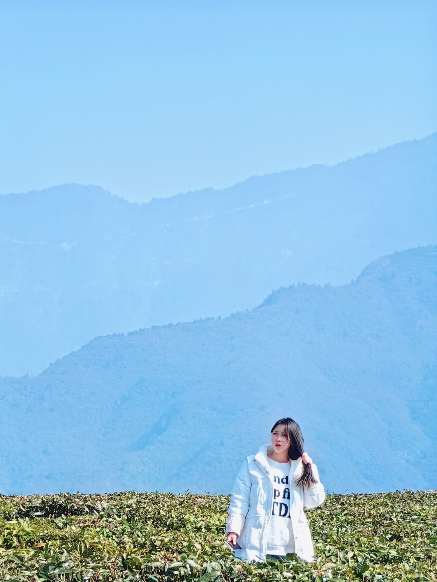 牛牯岭茶园旅行图片 1