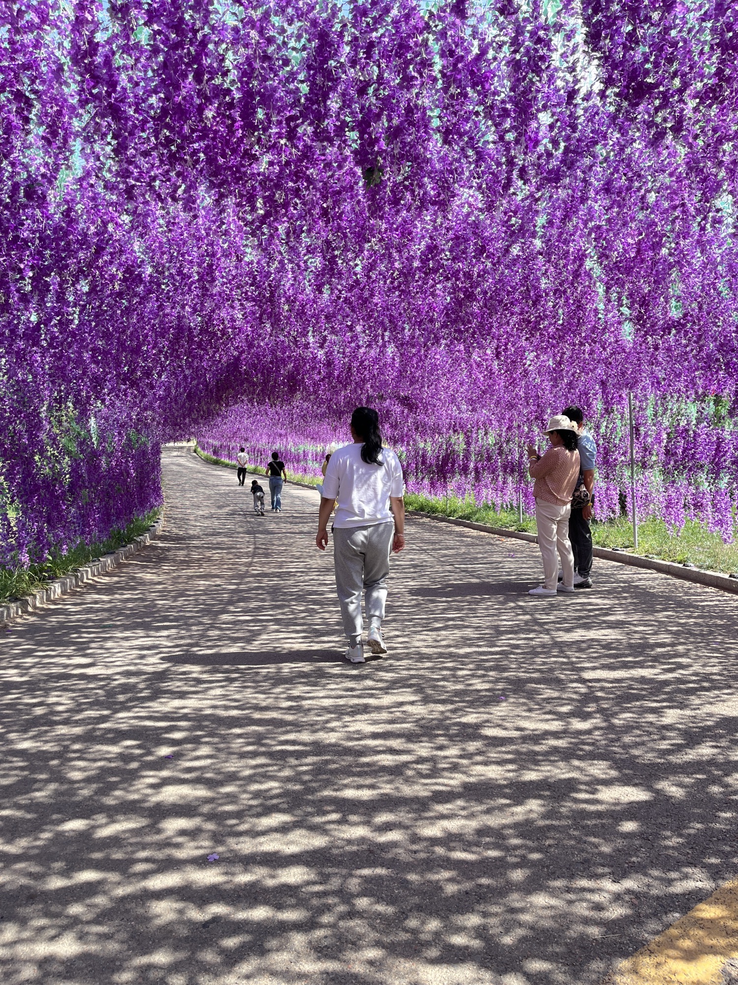 包头花舞人间景区(暂停开放)旅行图片 1