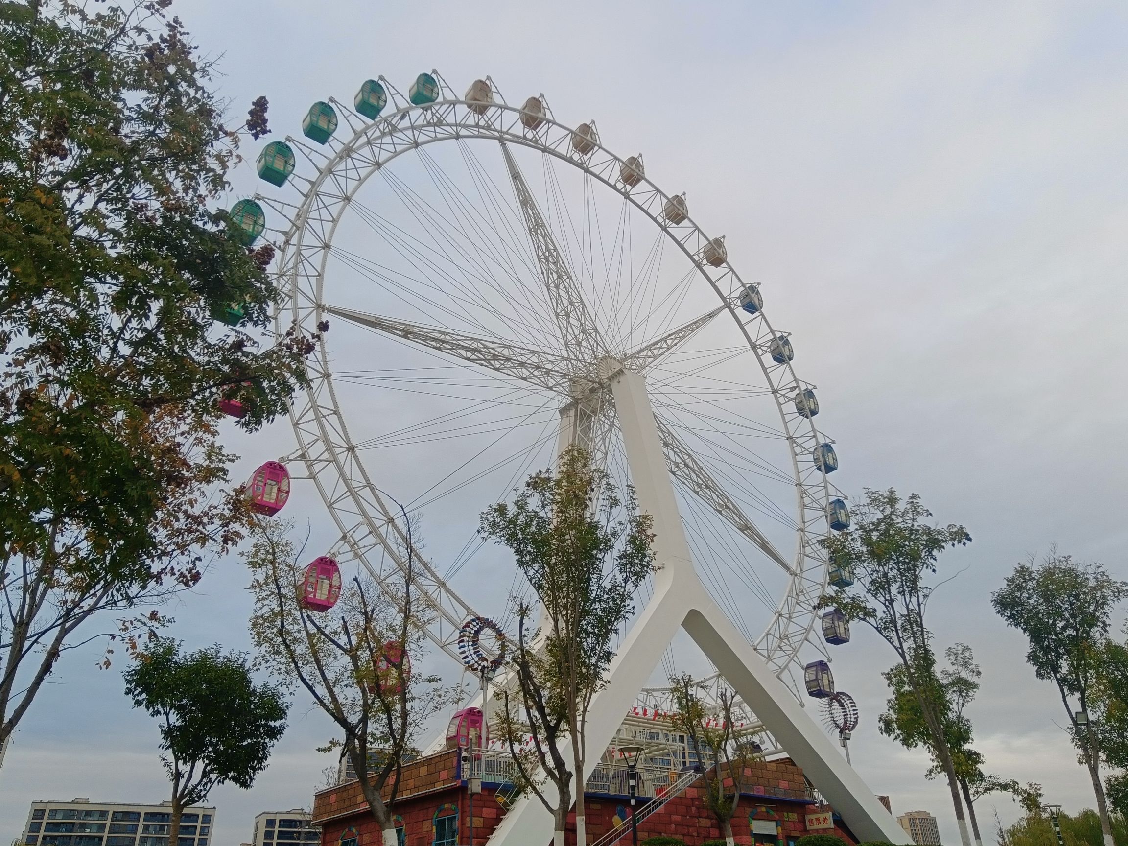 中央公园旅行图片 1
