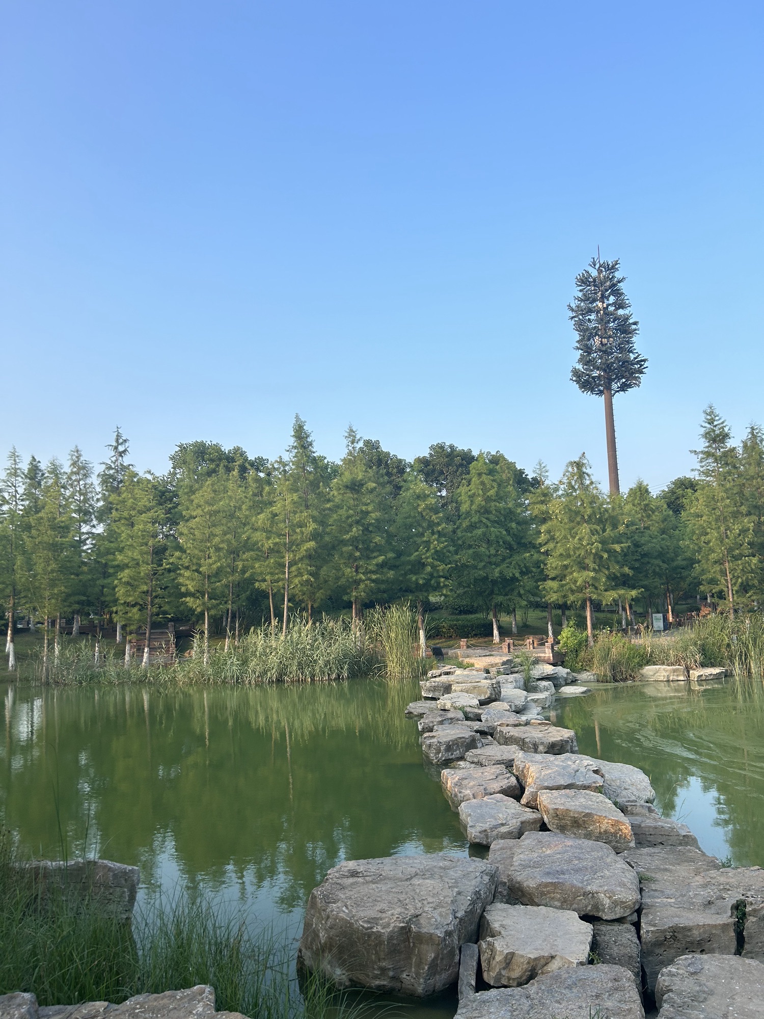 中央公园旅行图片 2