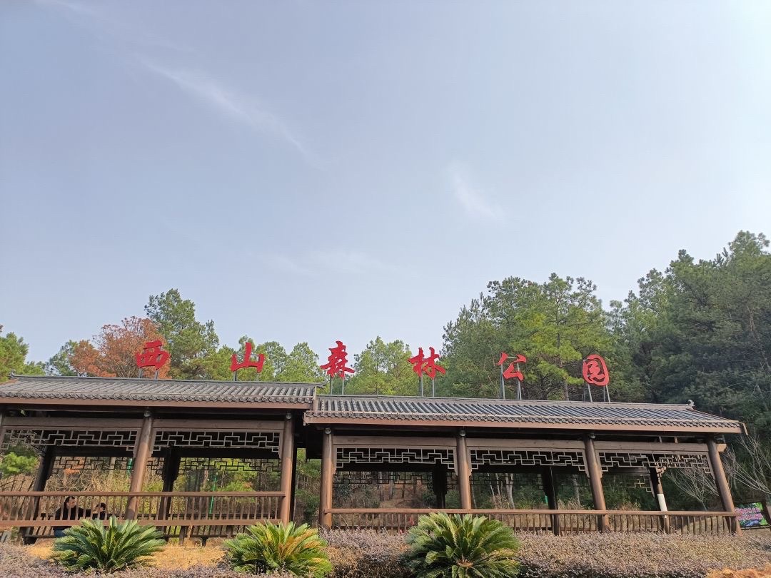 西山森林公园旅行图片 1