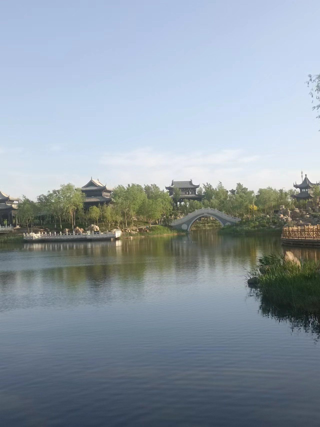 额济纳湿地公园旅行图片 2