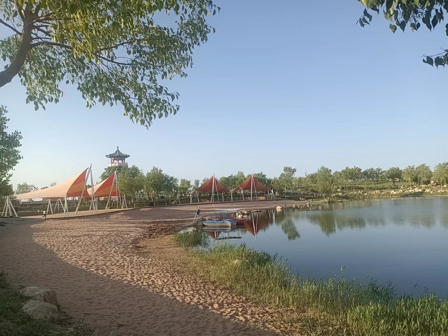 额济纳湿地公园旅行图片 1