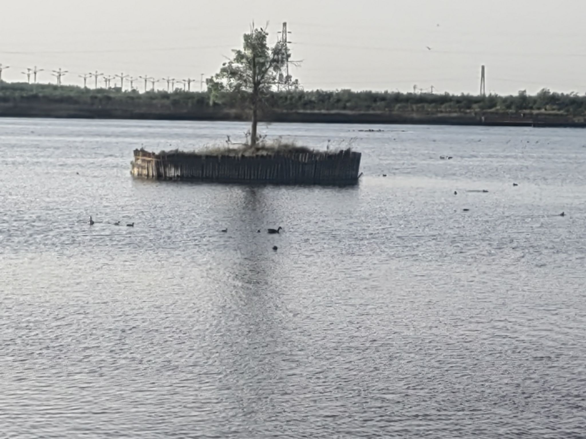 额济纳湿地公园旅行图片 3