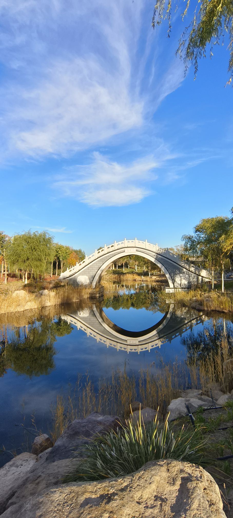 额济纳湿地公园旅行图片 2