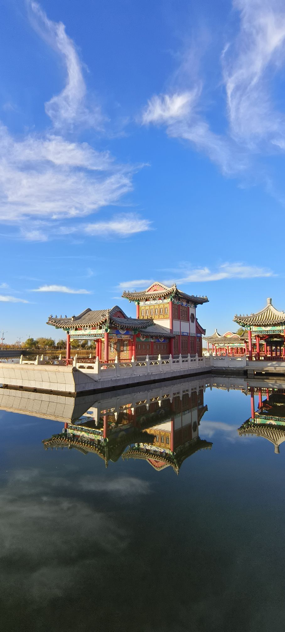 额济纳湿地公园旅行图片 3