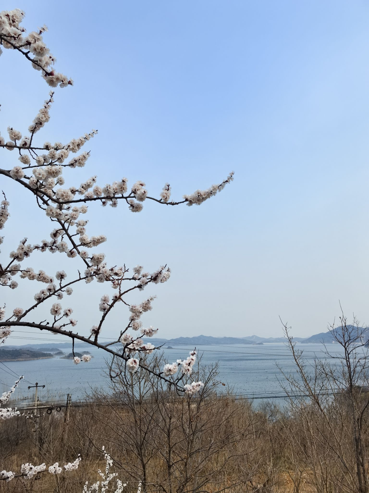 水库北观景台旅行图片 3