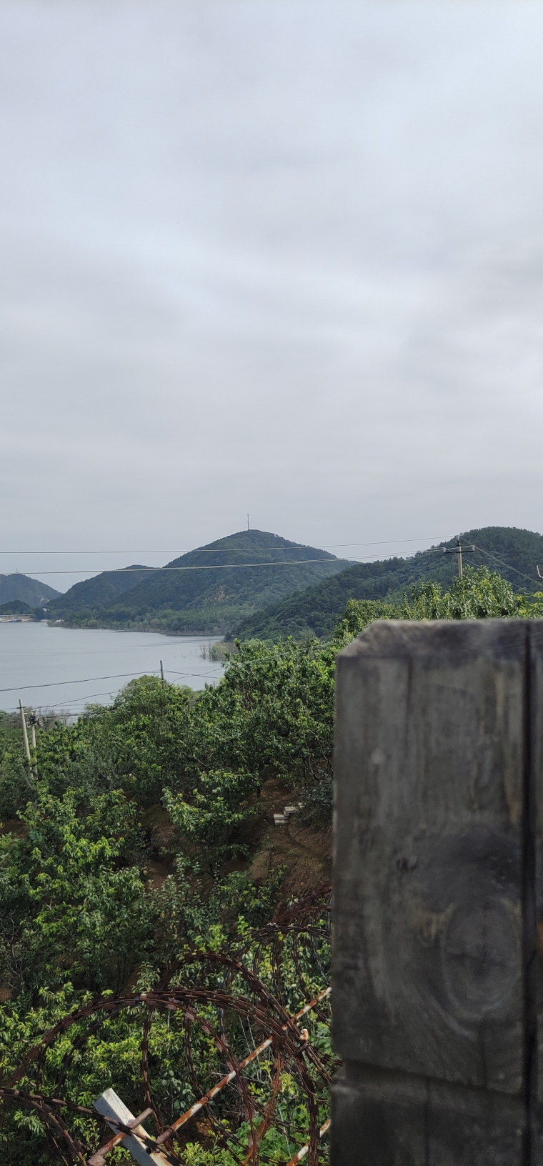 水库北观景台旅行图片 3