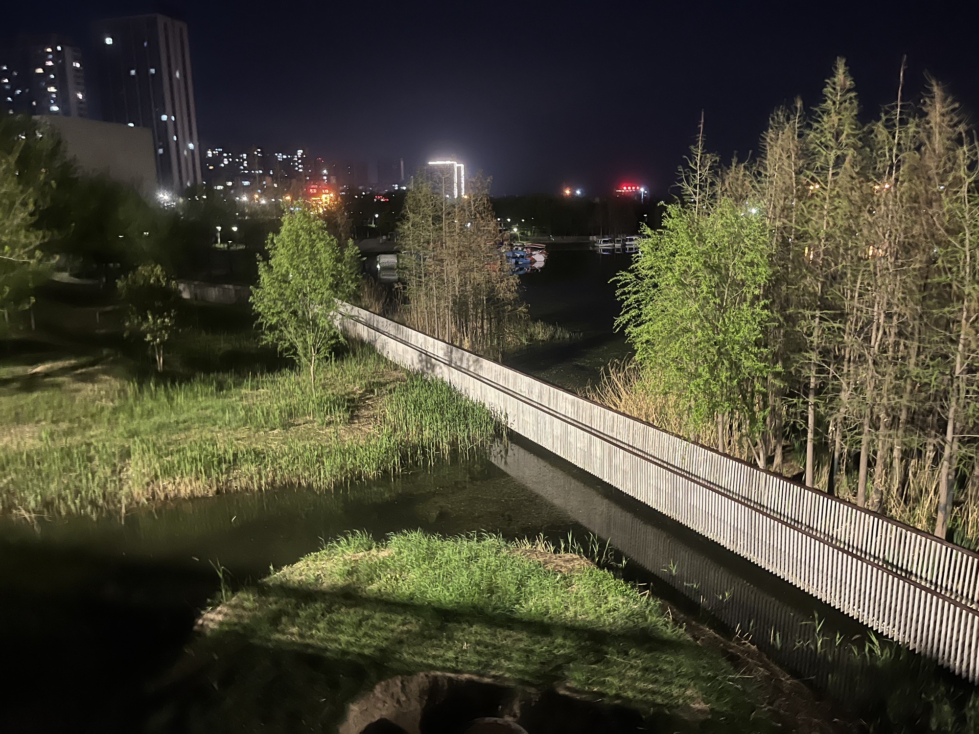陵西湖湿地公园旅行图片 2