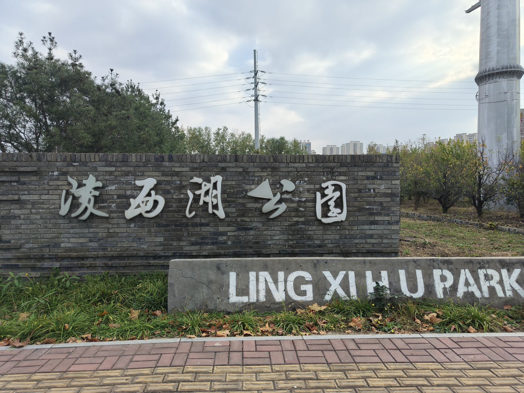 陵西湖湿地公园旅行图片 1