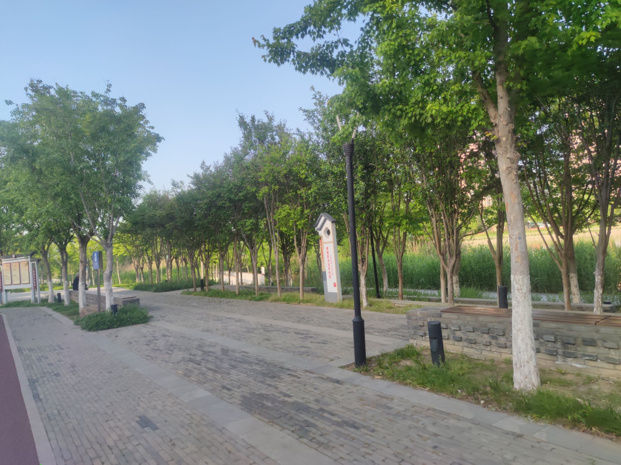 陵西湖湿地公园旅行图片 1