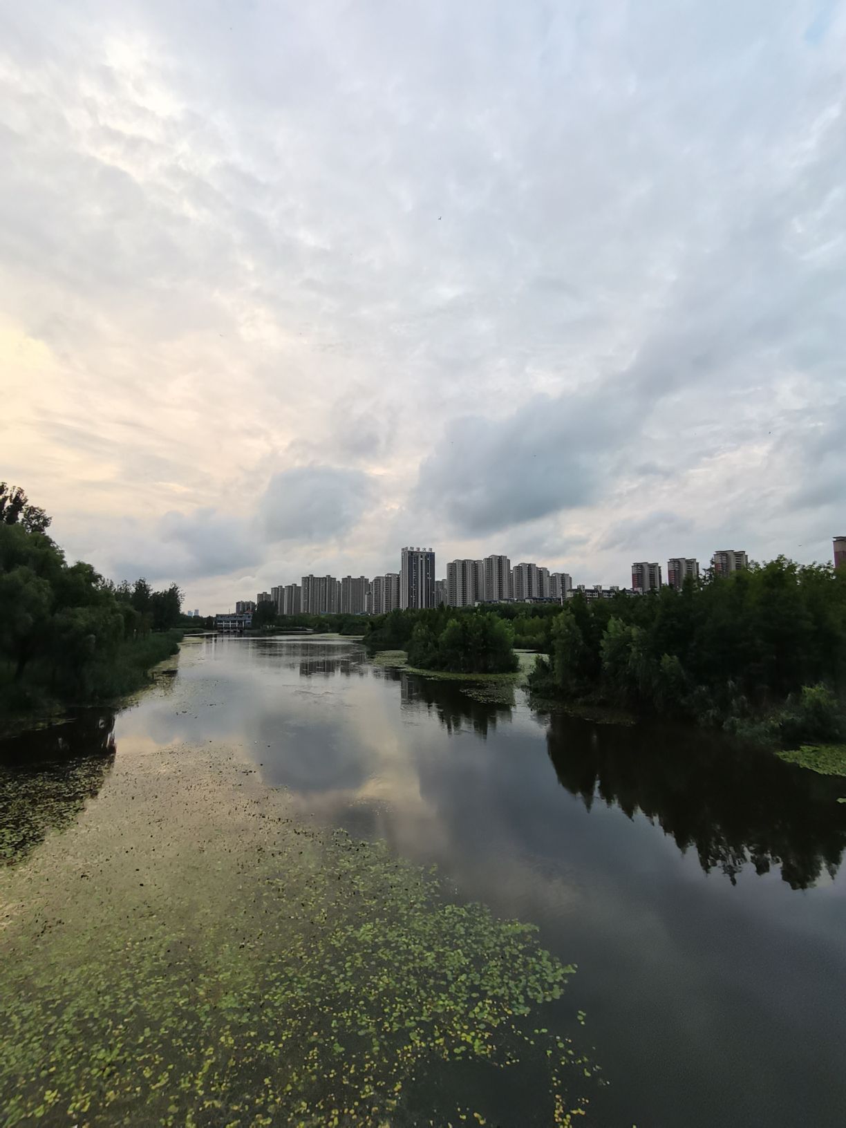陵西湖湿地公园旅行图片 3