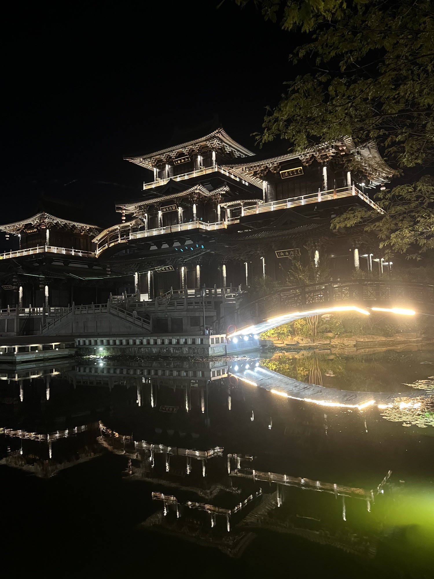 龙湖公园旅行图片 3