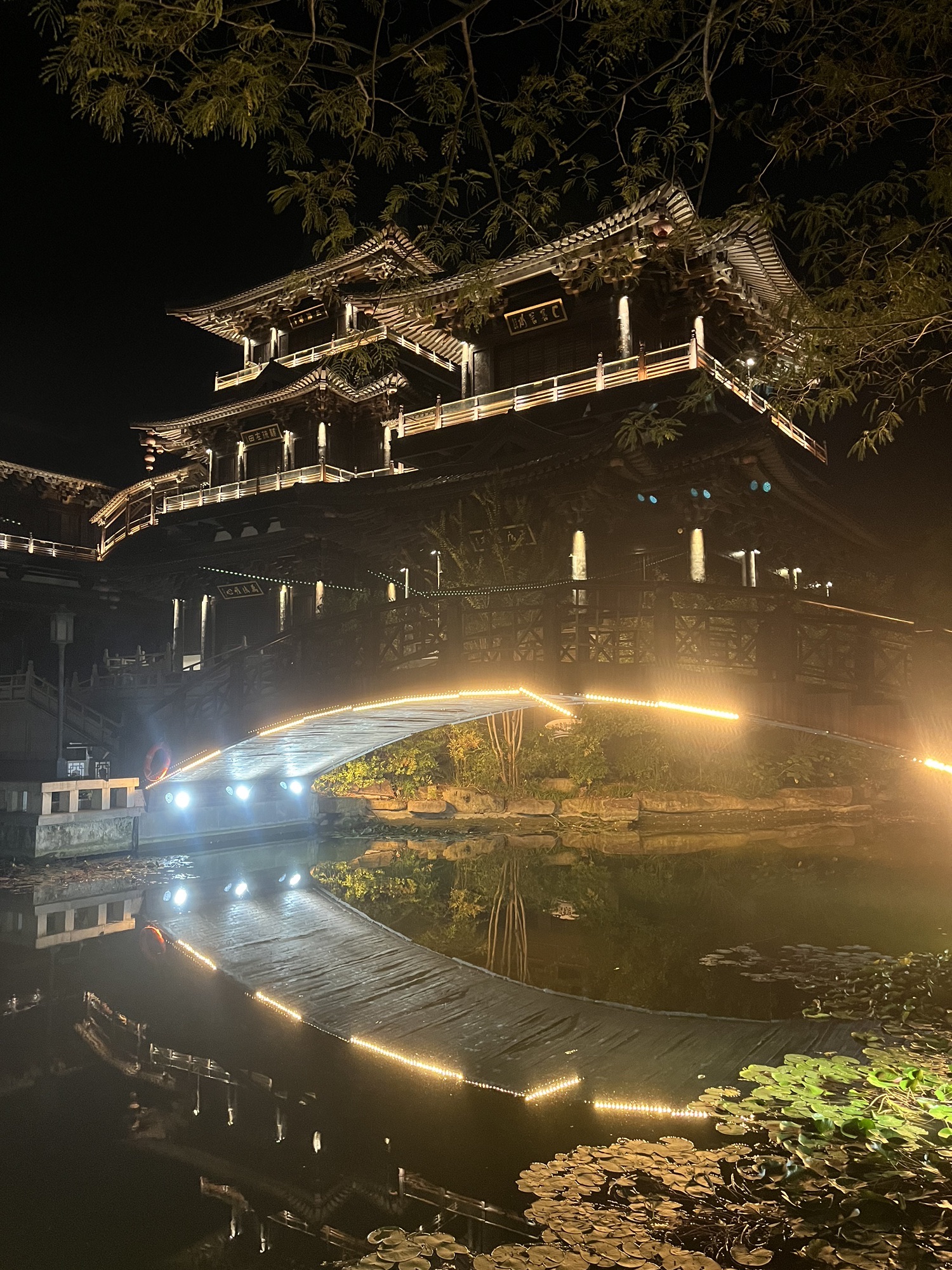龙湖公园旅行图片 2