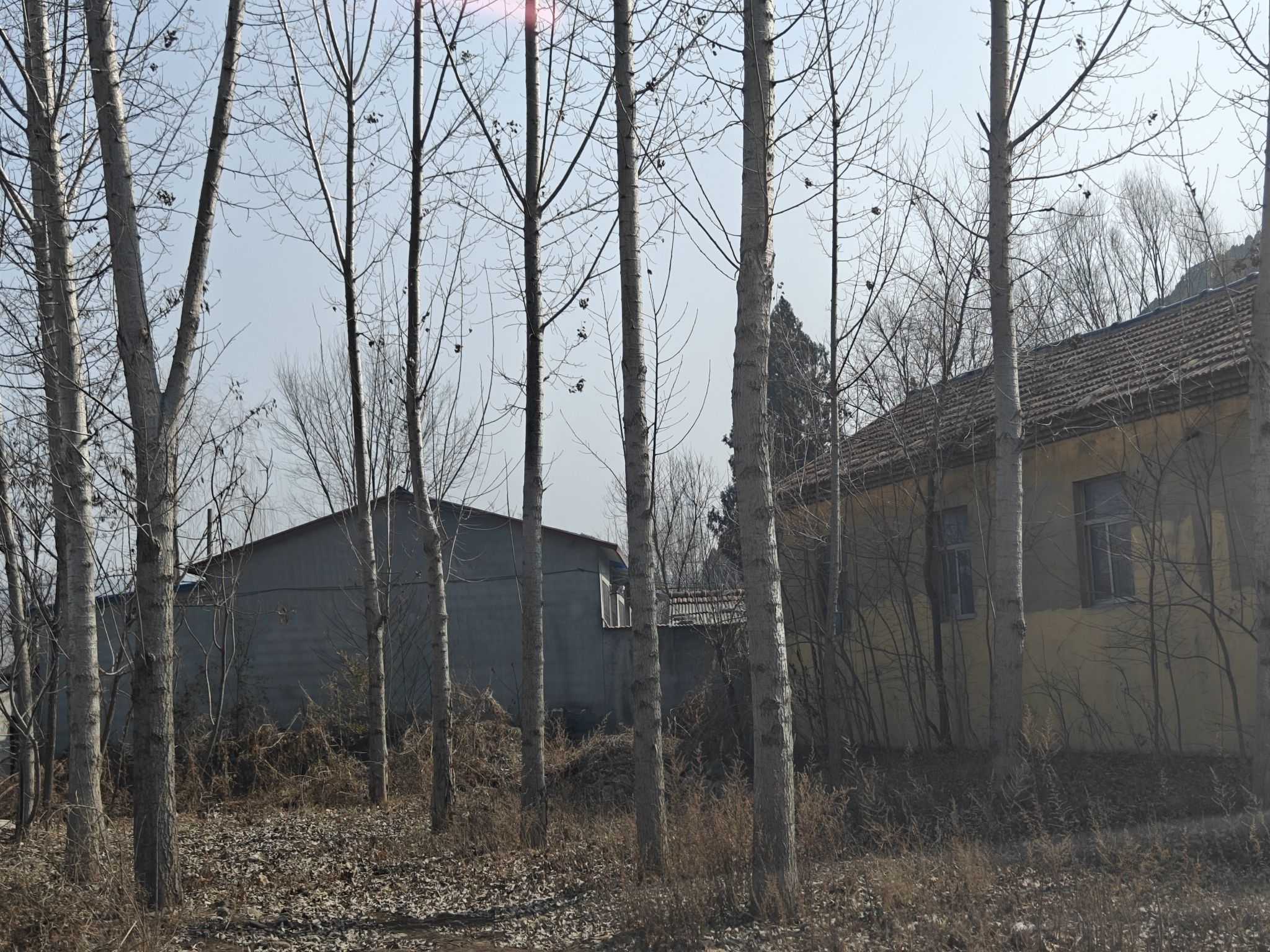 长勺之战遗址旅行图片 3