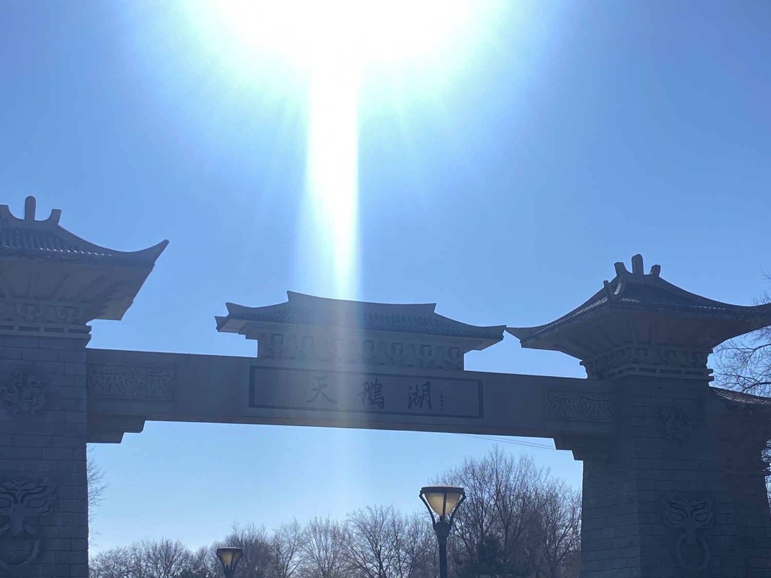 天鹅湖生态旅游景区旅行图片 2