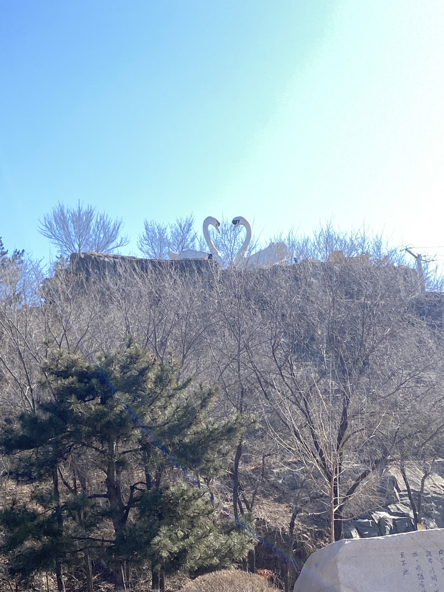天鹅湖生态旅游景区旅行图片 1