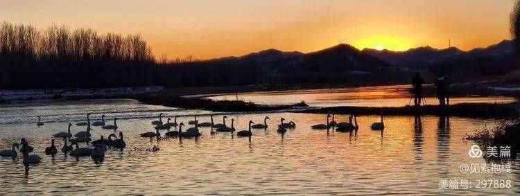 天鹅湖生态旅游景区旅行图片 2