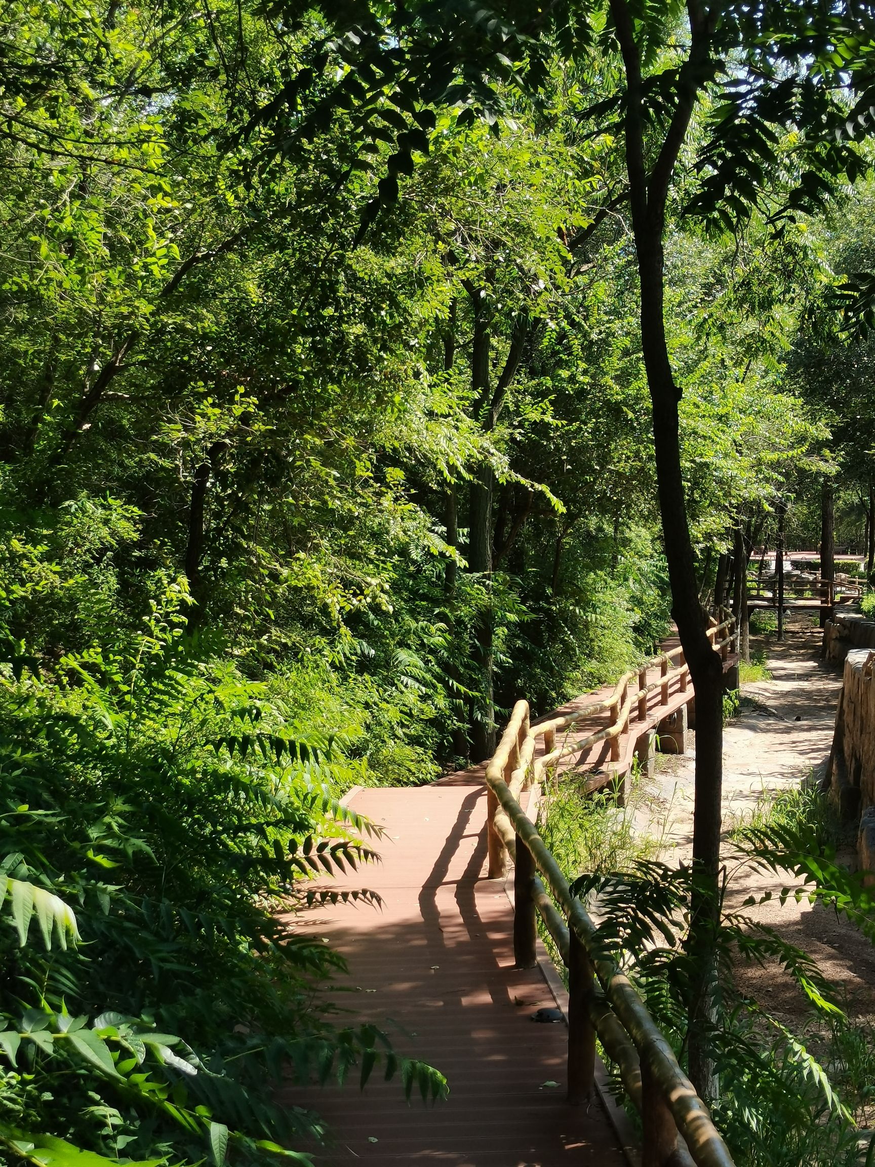 天鹅湖生态旅游景区旅行图片 3