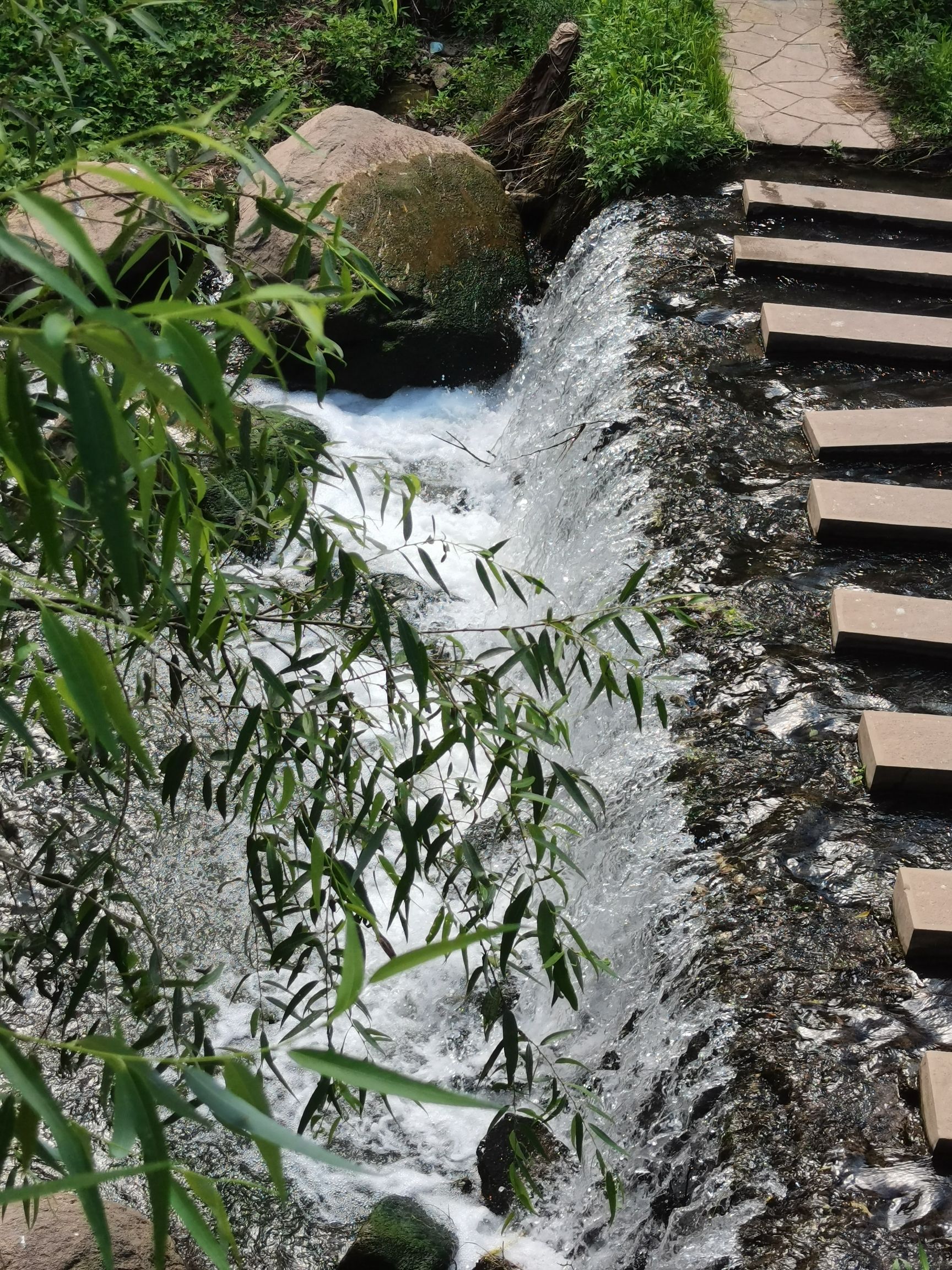 天鹅湖生态旅游景区旅行图片 1