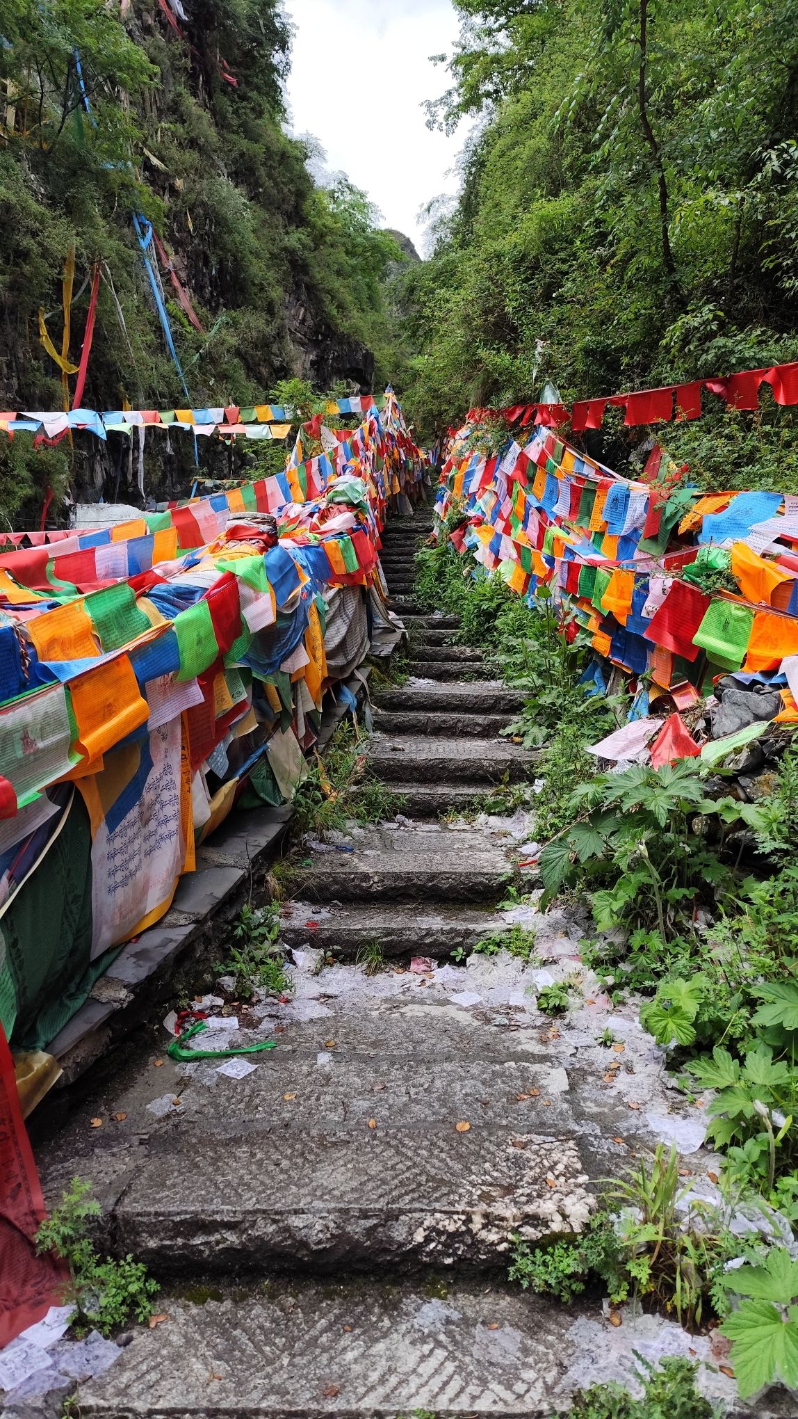 毗卢遮那圣窟旅行图片 2