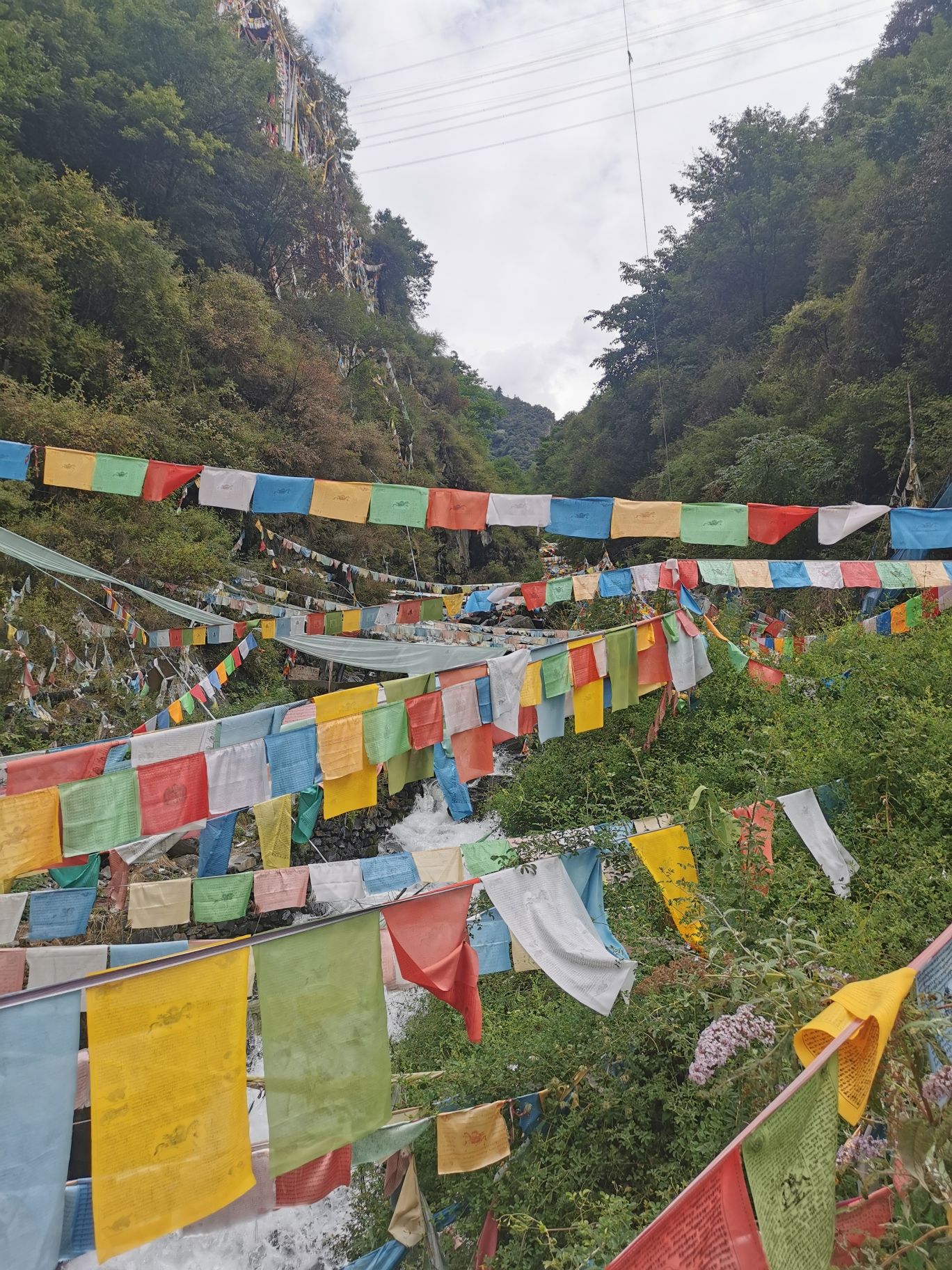 毗卢遮那圣窟旅行图片 1