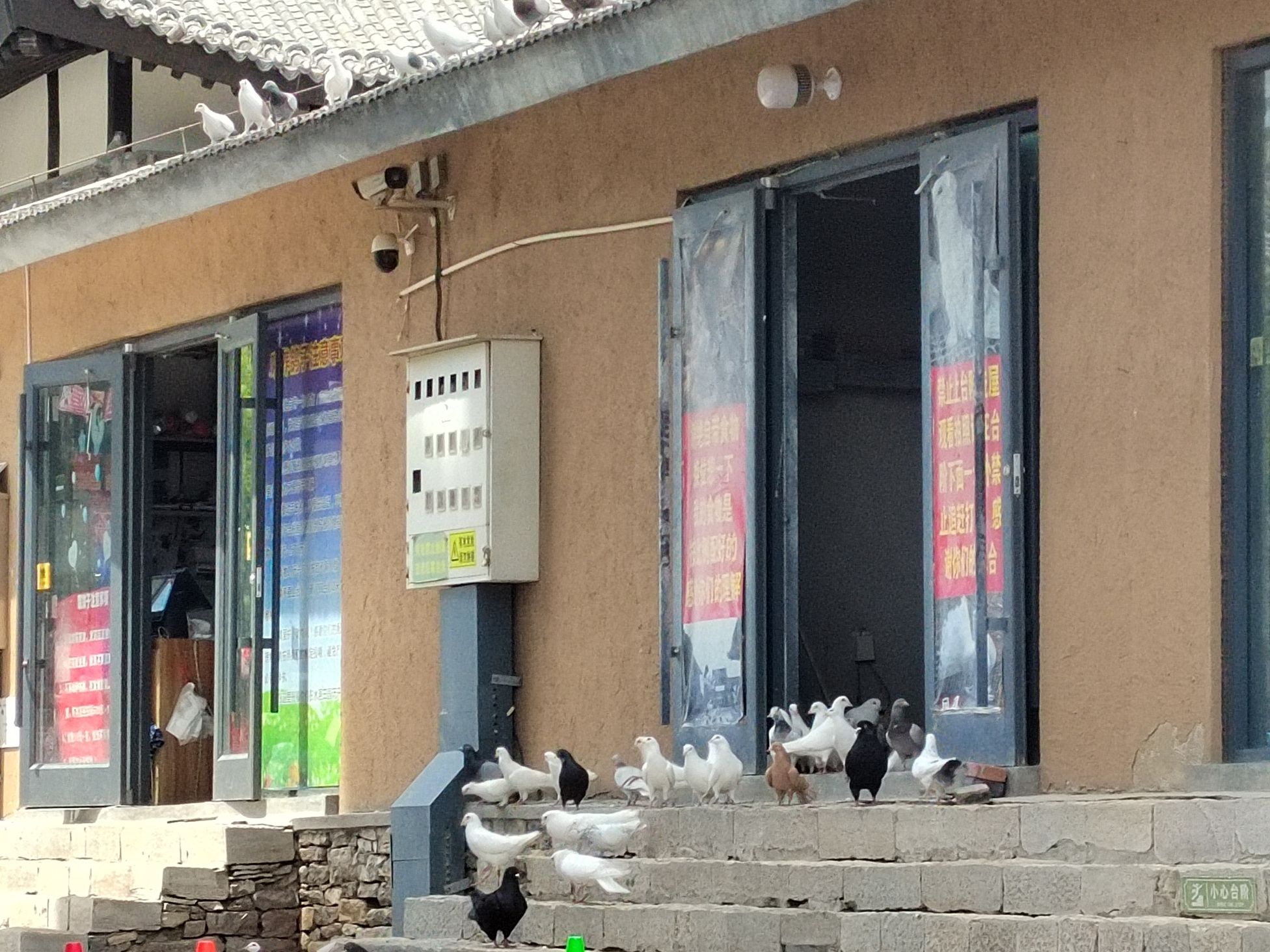 水浥田园旅行图片 3