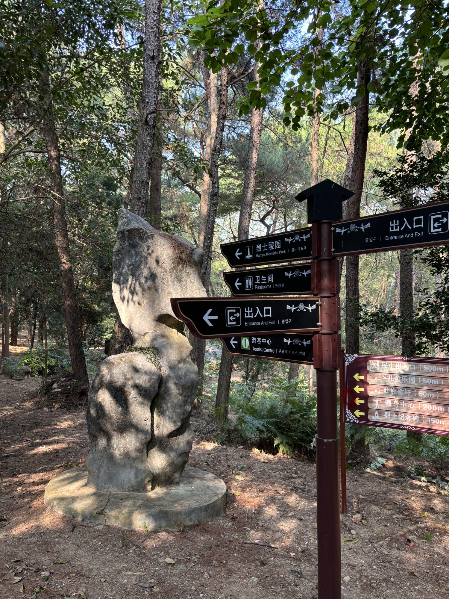 忻城森林公园旅行图片 1